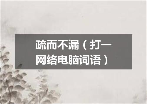 疏而不漏（打一网络电脑词语）