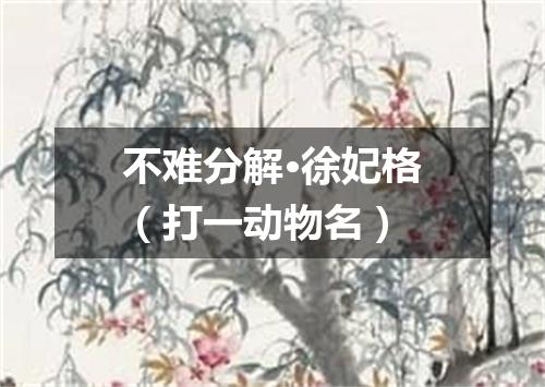 不难分解·徐妃格（打一动物名）
