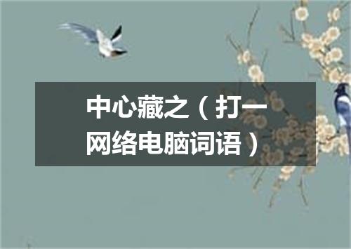 中心藏之（打一网络电脑词语）