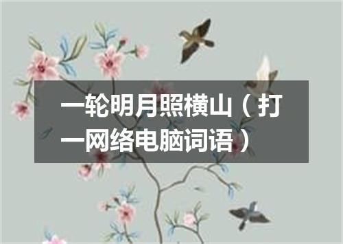 一轮明月照横山（打一网络电脑词语）
