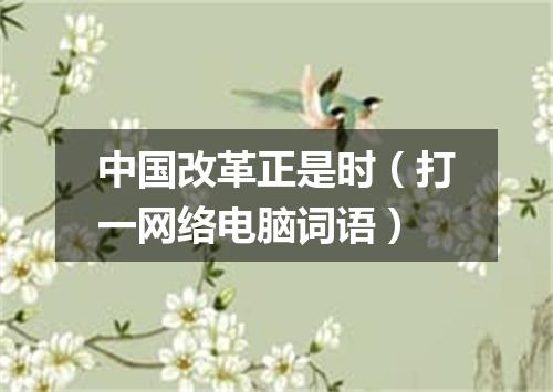 中国改革正是时（打一网络电脑词语）