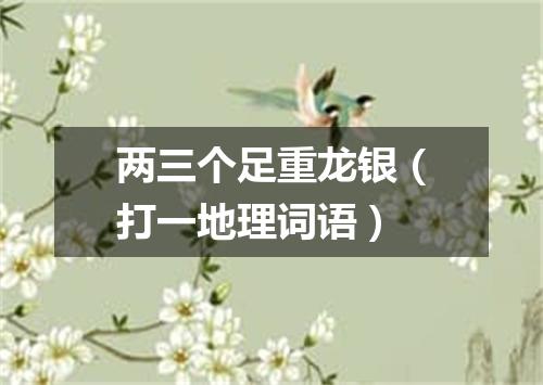 两三个足重龙银（打一地理词语）