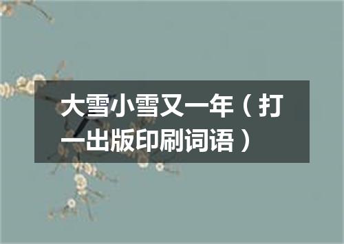 大雪小雪又一年（打一出版印刷词语）