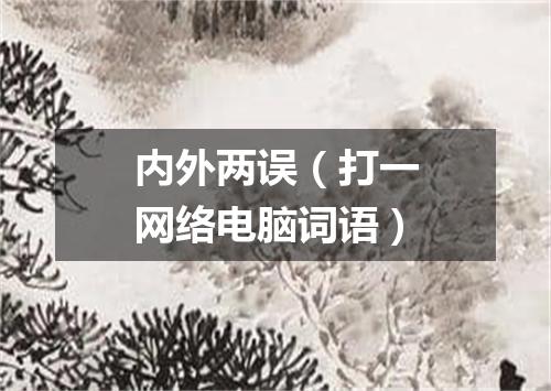 内外两误（打一网络电脑词语）