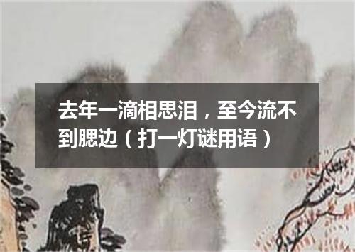 去年一滴相思泪，至今流不到腮边（打一灯谜用语）