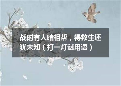 战时有人暗相帮，得救生还犹未知（打一灯谜用语）