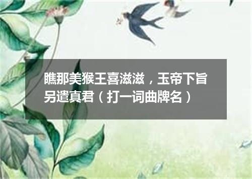 瞧那美猴王喜滋滋，玉帝下旨另遣真君（打一词曲牌名）