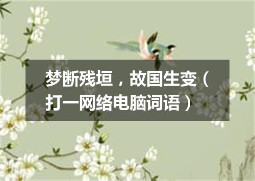 梦断残垣，故国生变（打一网络电脑词语）