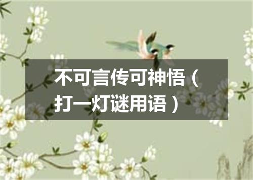 不可言传可神悟（打一灯谜用语）