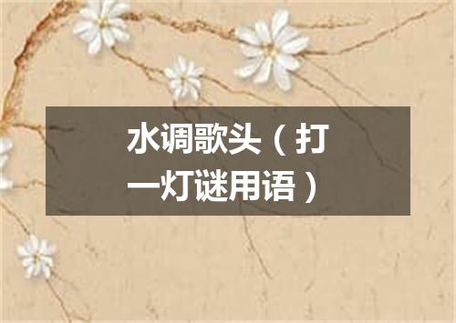 水调歌头（打一灯谜用语）