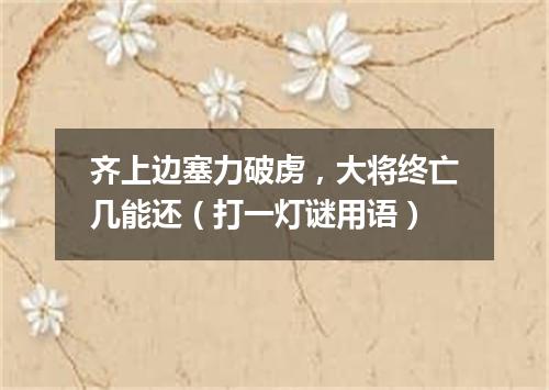 齐上边塞力破虏，大将终亡几能还（打一灯谜用语）