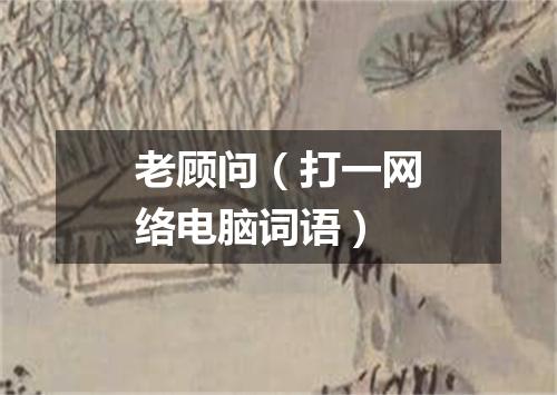 老顾问（打一网络电脑词语）