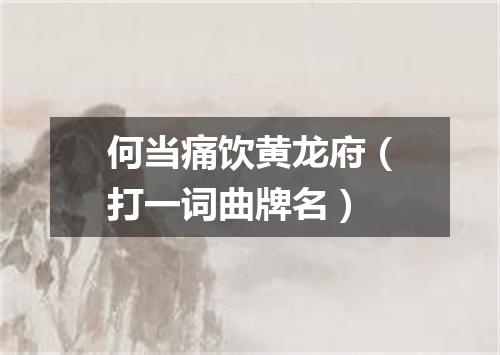 何当痛饮黄龙府（打一词曲牌名）