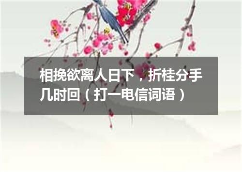 相挽欲离人日下，折桂分手几时回（打一电信词语）