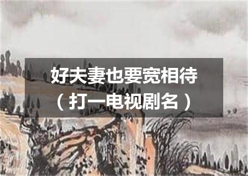 好夫妻也要宽相待（打一电视剧名）