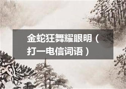 金蛇狂舞耀眼明（打一电信词语）