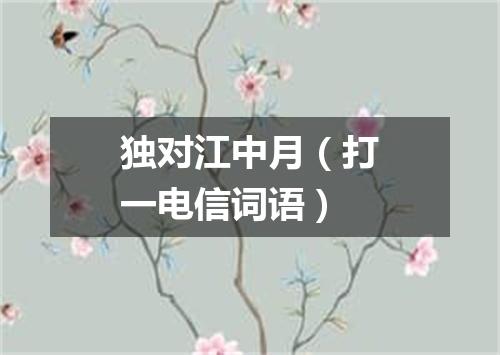 独对江中月（打一电信词语）