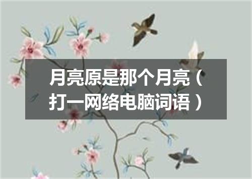 月亮原是那个月亮（打一网络电脑词语）