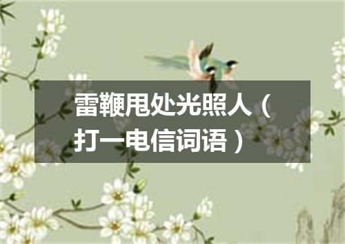 雷鞭甩处光照人（打一电信词语）