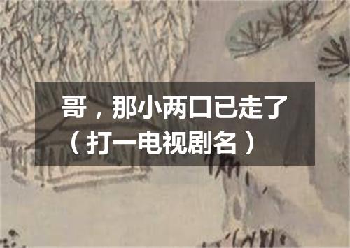 哥，那小两口已走了（打一电视剧名）