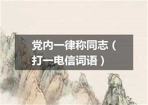 党内一律称同志（打一电信词语）