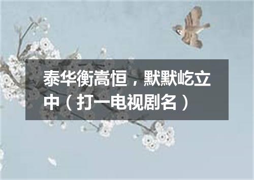 泰华衡嵩恒，默默屹立中（打一电视剧名）