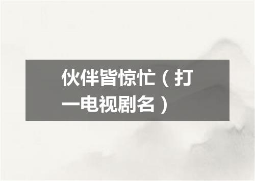 伙伴皆惊忙（打一电视剧名）