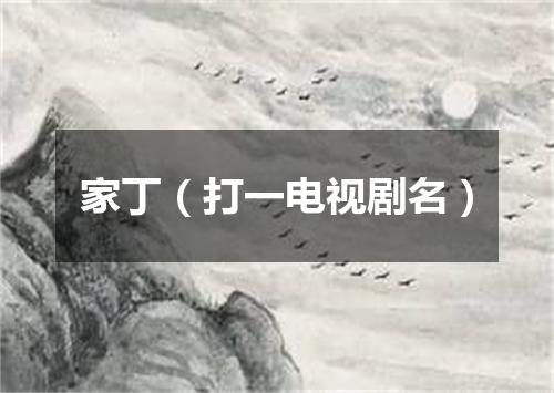 家丁（打一电视剧名）