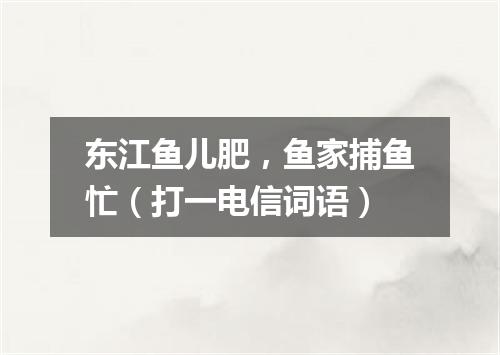 东江鱼儿肥，鱼家捕鱼忙（打一电信词语）