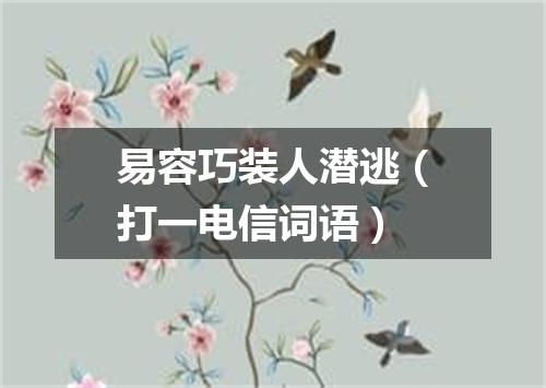 易容巧装人潜逃（打一电信词语）