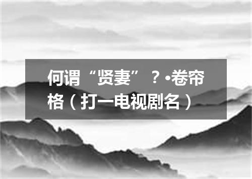 何谓“贤妻”？·卷帘格（打一电视剧名）