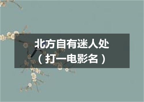 北方自有迷人处（打一电影名）