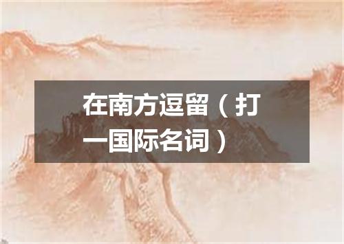 在南方逗留（打一国际名词）