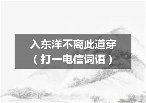 入东洋不离此道穿（打一电信词语）