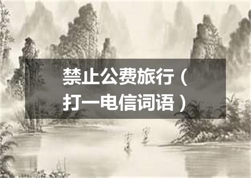 禁止公费旅行（打一电信词语）