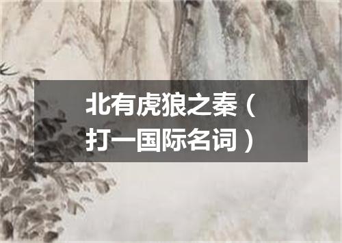 北有虎狼之秦（打一国际名词）