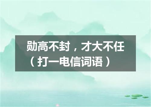 勋高不封，才大不任（打一电信词语）
