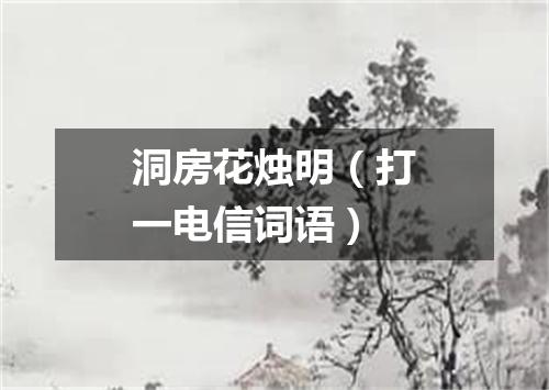 洞房花烛明（打一电信词语）