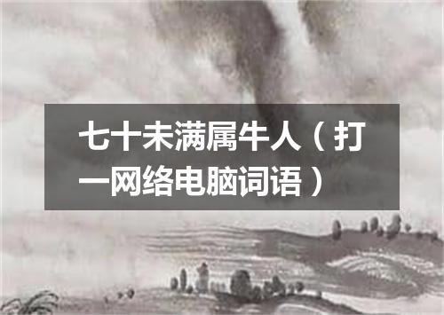 七十未满属牛人（打一网络电脑词语）