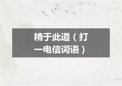 精于此道（打一电信词语）