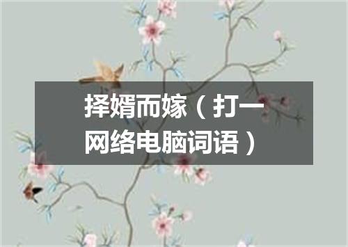 择婿而嫁（打一网络电脑词语）