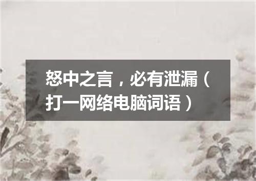 怒中之言，必有泄漏（打一网络电脑词语）