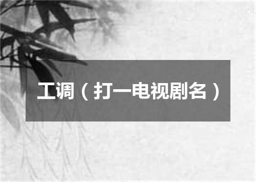 工调（打一电视剧名）