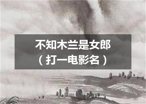 不知木兰是女郎（打一电影名）