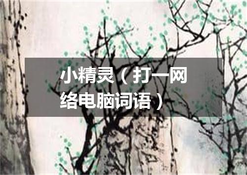 小精灵（打一网络电脑词语）