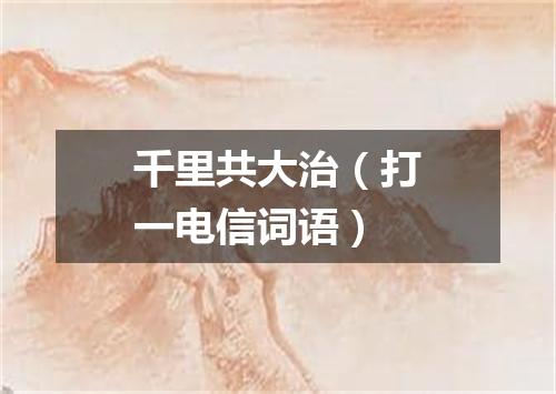 千里共大治（打一电信词语）