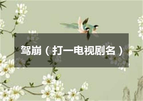 驾崩（打一电视剧名）