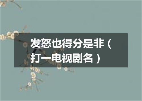 发怒也得分是非（打一电视剧名）