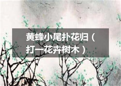 黄蜂小尾扑花归（打一花卉树木）