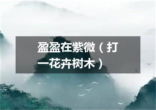 盈盈在紫微（打一花卉树木）